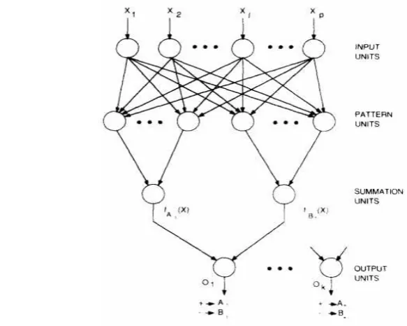 Gambar 2  Struktur PNN (Sumber: Specht 1990) 