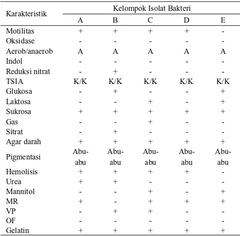 Tabel 1. Karakteristik koloni bakteri hasil isolasi dari ikan budu berdasarkan uji biokimia