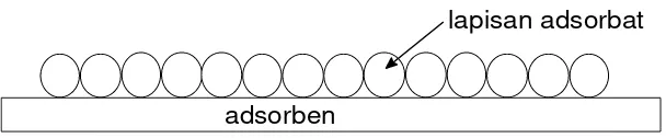 Gambar 5. Grafik Isoterm Freundlich 
