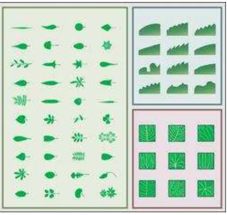 Gambar Morfologi Daun 