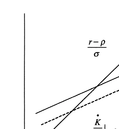 Fig. 6. A lump sum tax in the stable economy.
