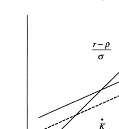 Fig. 6. A lump sum tax in the stable economy.