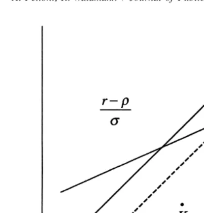 Fig. 7. A lump sum tax in the unstable economy.