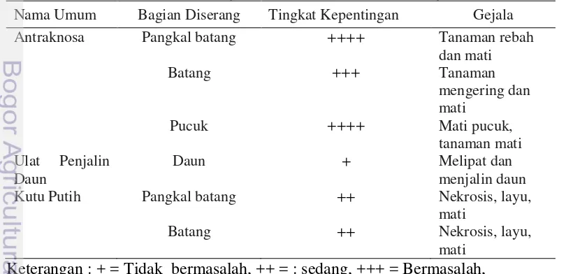 Tabel 2  Hama dan penyakit  yang ditemukan di pembibitan sengon 