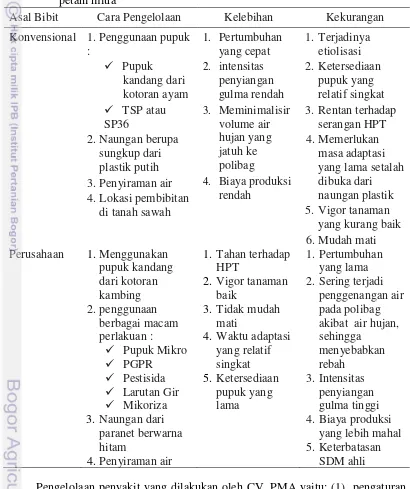 Tabel 3  Perbandingan budidaya bibit sengon antara petani konvensional dan  petani mitra 