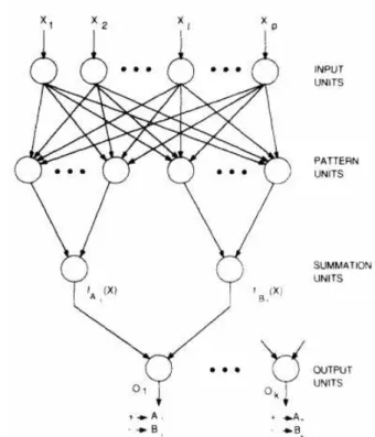 Gambar 3  Struktur PNN (Sumber: Specht 1990) 