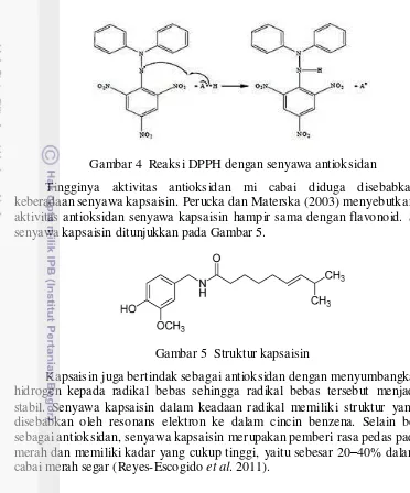 Gambar 4  Reaksi DPPH dengan senyawa antioksidan 