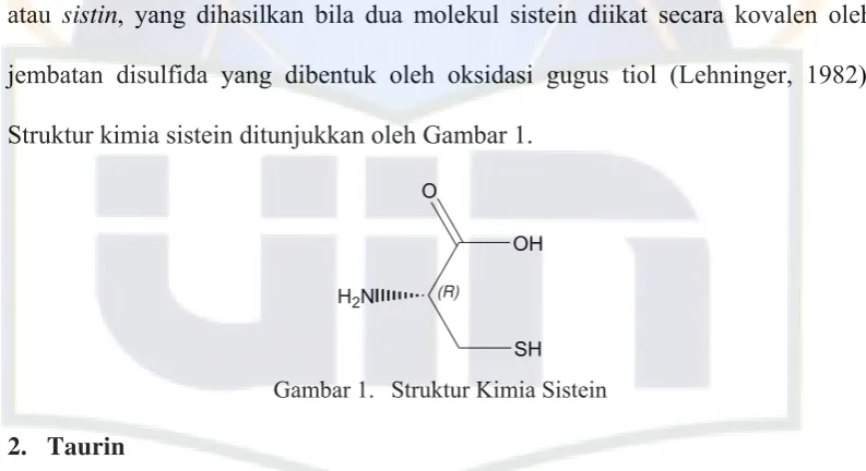 Gambar 1. Struktur Kimia Sistein 