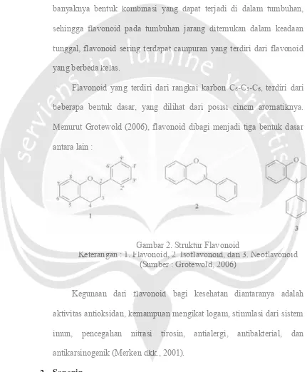 Gambar 2. Struktur Flavonoid Gambar 2. Struktur Flavonoid 