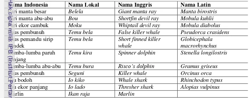 Tabel 4. Ikan dan Mamalia Laut Tikaman Nelayan Lamalera. 