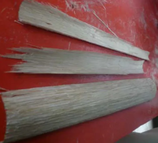 Figure 2. Veneerboo that was produced by the bamboo veneering machine  Source: research team, 2009