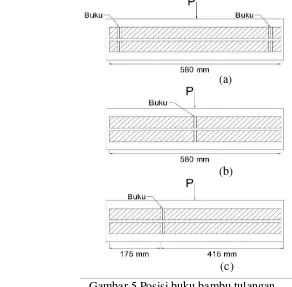 Gambar 5 Posisi buku bambu tulangan. 