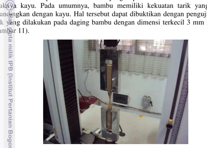 Gambar 11 Pengujian kuat tarik bambu 