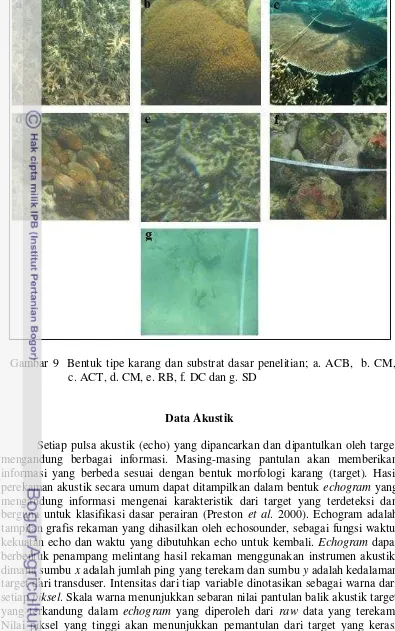 Gambar 9  Bentuk tipe karang dan substrat dasar penelitian; a. ACB,  b. CM,        