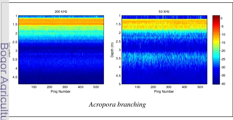 Gambar 10  Echogram hasil perekaman akustik Acropora branching; frekuensi 