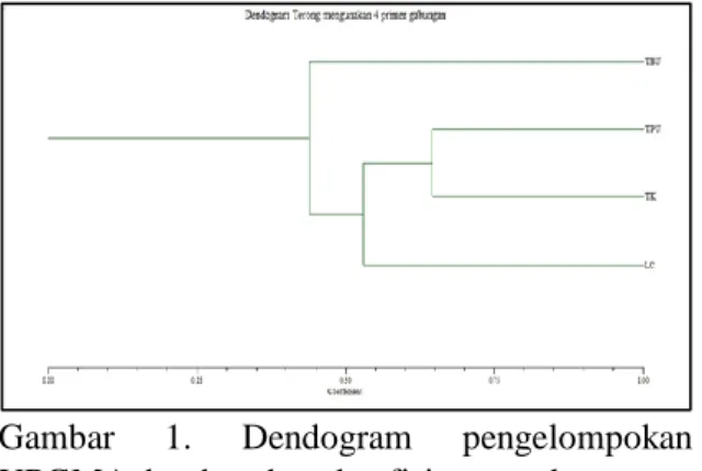Gambar  1.  Dendogram  pengelompokan  UPGMA  berdasarkan  koefisien          kesamaan  pada empat aksesi Manggis 