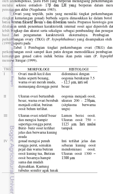 Tabel 1 Pembagian tingkat perkembangan ovari (TKG) dan stadia 