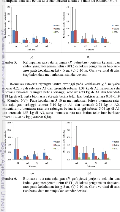 Gambar 6.  Biomassa rata-rata rajungan (P. pelagicus) perjenis kelamin dan induk yang mengerami telur (BTL) di lokasi pengamatan tiap sub-