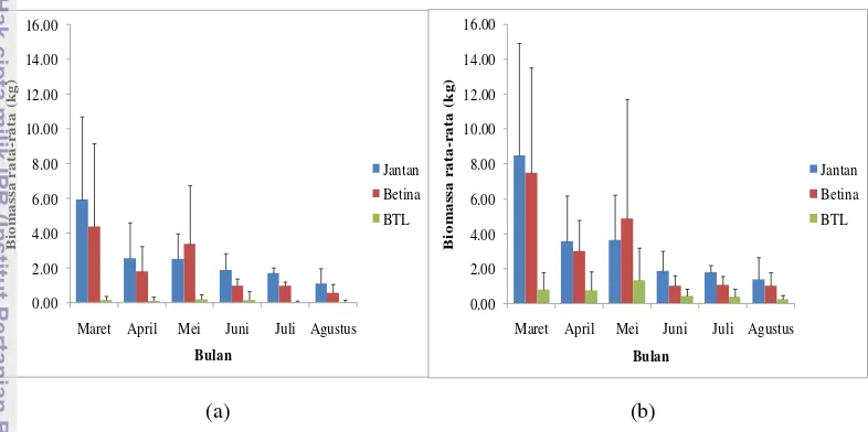 Gambar 8. Biomassa rata-rata rajungan (P. pelagicus) perjenis kelamin dan 