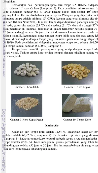 Gambar 10  Tempe Koro 