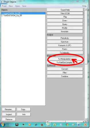 Gambar 9. Menu Manipulation 