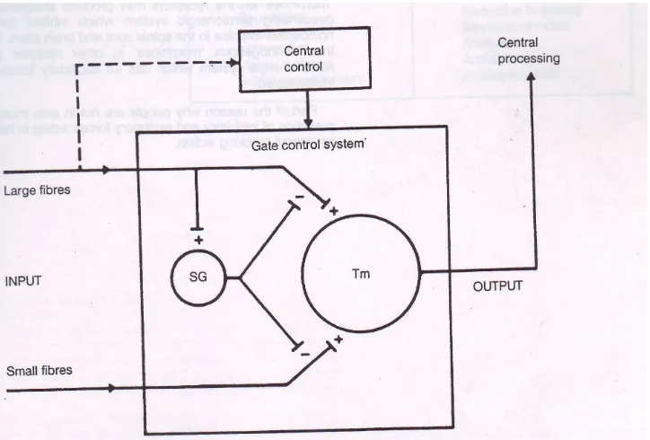 Gambar.1.Gate and Control (Mellzac’k and Wall, 2006) 
