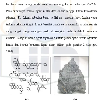 Gambar 2 . (a) Struktur Kimia Batubara Lignit (Schumacher,1997), (b) Bentuk Batubara Lignit (Bryant, 2005)  