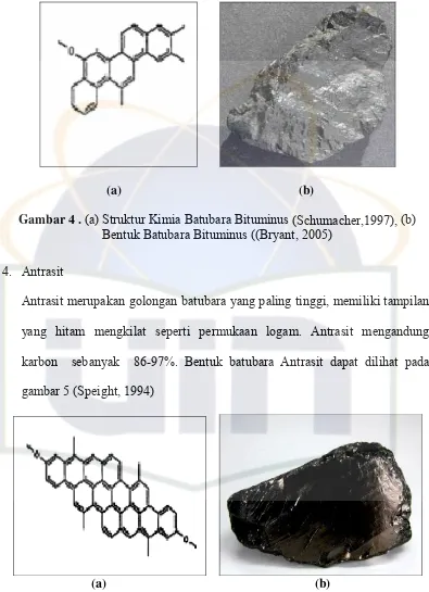 Gambar 4 . (a) Struktur Kimia Batubara Bituminus (Schumacher,1997), (b) 