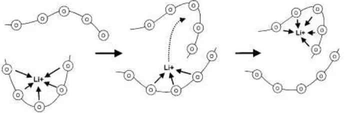 Gambar 2. Mekanisme loncatan ion Li+ di dalam segmen membran PEO (Sumber: Meyer, 2008) 