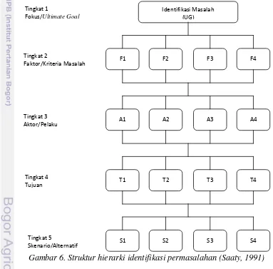 Gambar 6. Struktur hierarki identifikasi permasalahan (Saaty, 1991) 