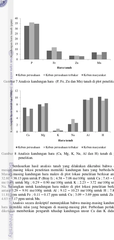 Gambar 7 Analisis kandungan hara  (P, Fe, Zn dan Mn) tanah di plot penelitian. 