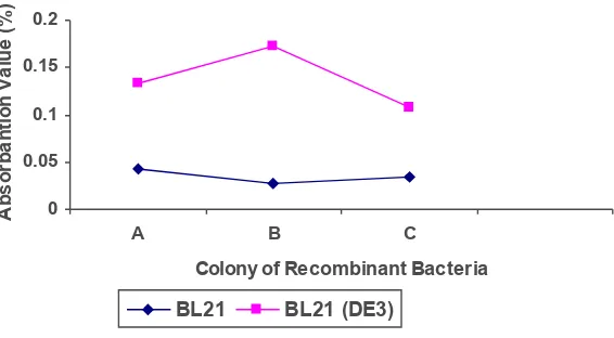 Figure 1. Absorbance value of crude enzyme activity from recombinant bacteriaunderE. coli BL21(+)+pEAS1andBL21(DE3)(+)+pEAS1observed λ415 nm