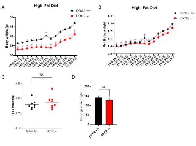 Figure 9. Decreased body weight in DRG2 depletion mice fed high fat diet.