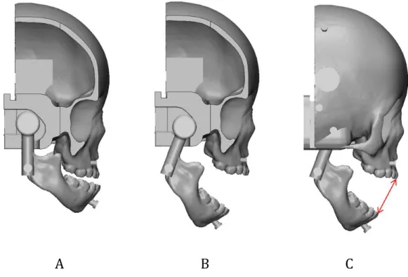 Figure 9. The overall design of the mouth movement. (A) The cranio-maxilla with a trailed socket  inserted by a circular shaped condyle of the mandible at the closed mouth in the cutting at trailed  socket