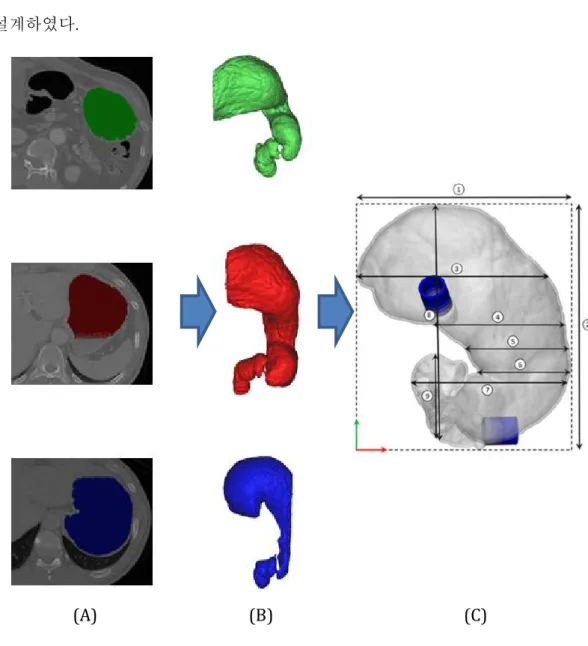 Figure  25.  The  overall  procedure  of  modeling  gastric  phantom.  (A)  Visualization  of  segmentation  with  gastric  at  the  three-phase  CT  image