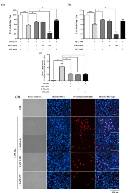 Fig. 9. Neuroprotection by AcAc or B-HB against Aβ 42 -induced cell death in  SH-SY5Y cells