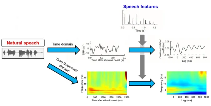Figure 10: Method for analyzing neural response to continuous speech stimuli 