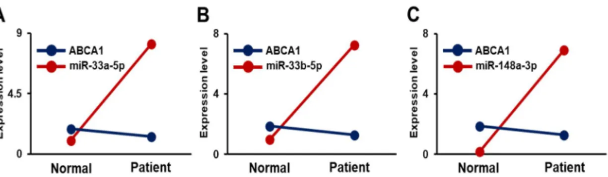 Figure 7. Correlation of ABCA1 and its target miRNAs in the plasma of carotid artery stenosis patients