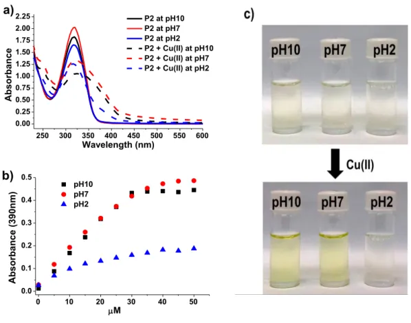 Figure 3. a) UV-Vis spectra and b) photographs of P2 (50 μM of phenylthiosemicarbazone  units along the P2 chain) upon the addition of Cu(II) ions (50 μM) at different pH values