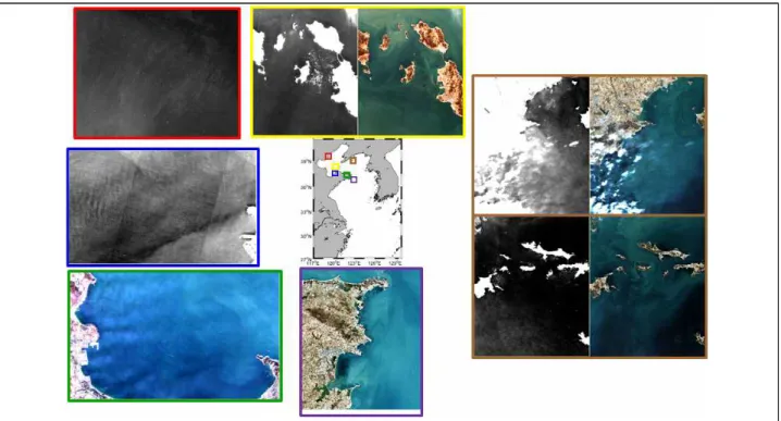 그림 7 위성으로 분석한 보하이만과 산둥반도 주변 해상양식장 분포 현황
