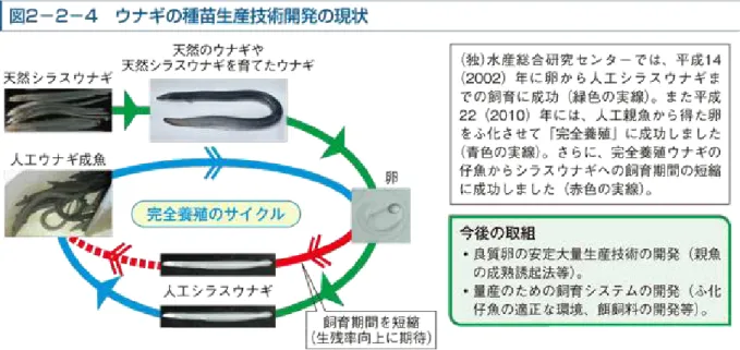 그림  3.  일본  뱀장어  완전양식  성공  보도자료.  일본  수산청  자료  인용  (www.ifa.maff.go.jp) 
