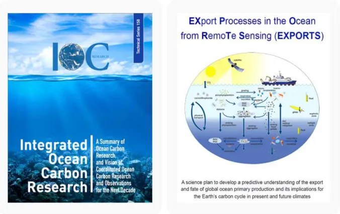그림 2-2-1. 해양 탄소순환 관련 국외 연구 사례