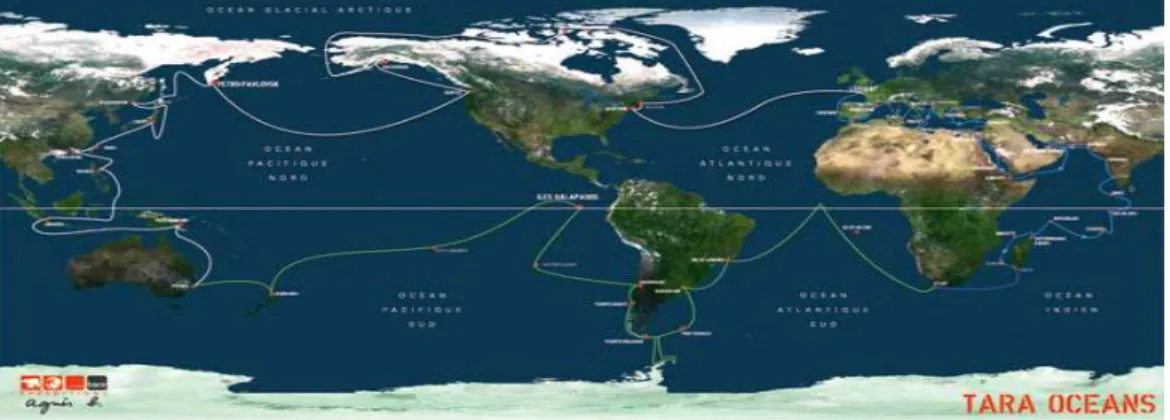 그림  1-4. TARA Oceans 탐사  route