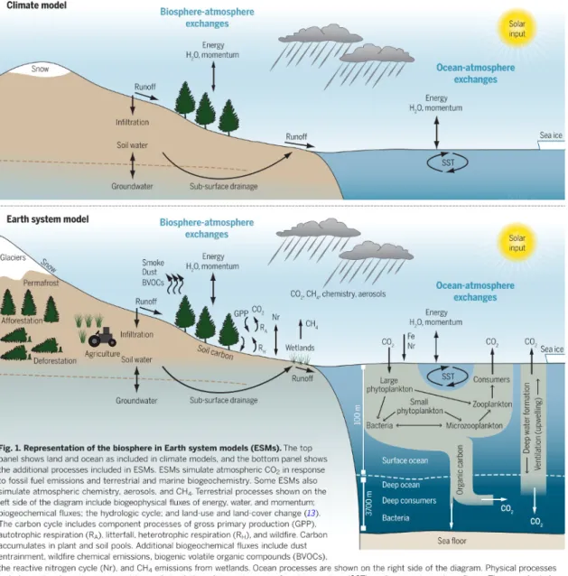 [그림  II-5]  기후모형과  지구시스템모형의  차이:  해양  탄소  순환의  중요성  (Bonan  &amp;  Doney,  2018)