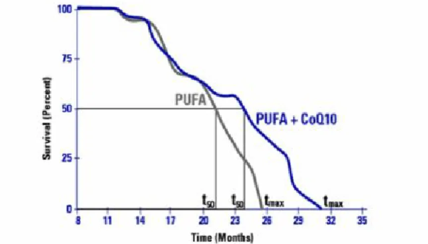 Fig.  6.  CoQ10  extends  the  lifespan  of  rats  (0.7  mg/kg/day).  Survivorship  study  was  performed  using  43  rats  per  group  (Quiles,  et  al.,  2004.)