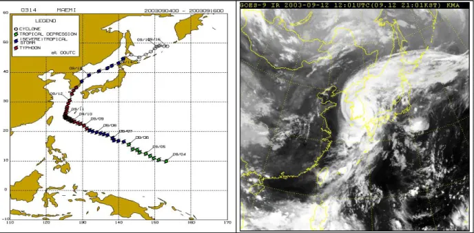 그림 2.3 태풍 매미의 진로도 및 위성사진