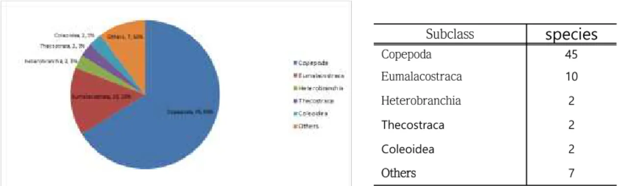 그림  142 Bulk sample를 통해  분석된  68개의  분류군  (Taxa(subclass), Species numbers, Percentage)