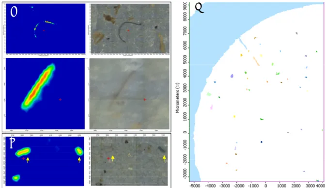 그림  2-3-5.  섬유형태의  화학적  및  광학적  맵핑  이미지(a)일반적인  섬유형태,  (b)파편으로  오인받기  쉬운  섬유형태(노란색  화살표)와  (c)OMNIC  Picta  소프트웨어에서  자동분석을  위한  화학적  이미지  분석  결과