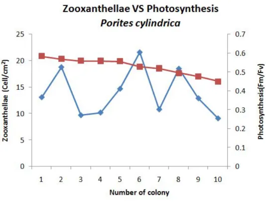 Fig 1. Densities of zooxanthellae depending on coral species.