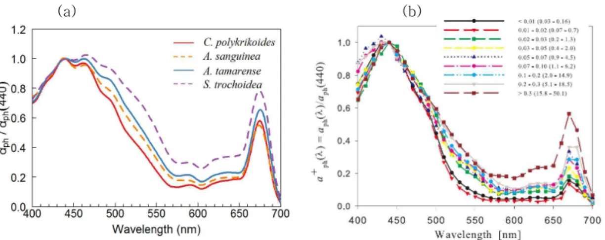 그림  6-1-2.  (a)  적조  배양종의  흡광스펙트럼  분포  (b)  일반적인  자연  해수  속  식물플랑크톤의  흡광스펙트럼 분포(IOCCG, 2006)